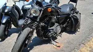Harley-Davidson 883 Iron (2014 - 16) - XL 883N  (3)