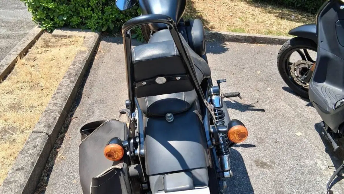 Harley-Davidson 883 Iron (2014 - 16) - XL 883N  (4)