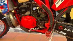 Betamotor RR 300 2T Enduro Racing (2020)  (12)