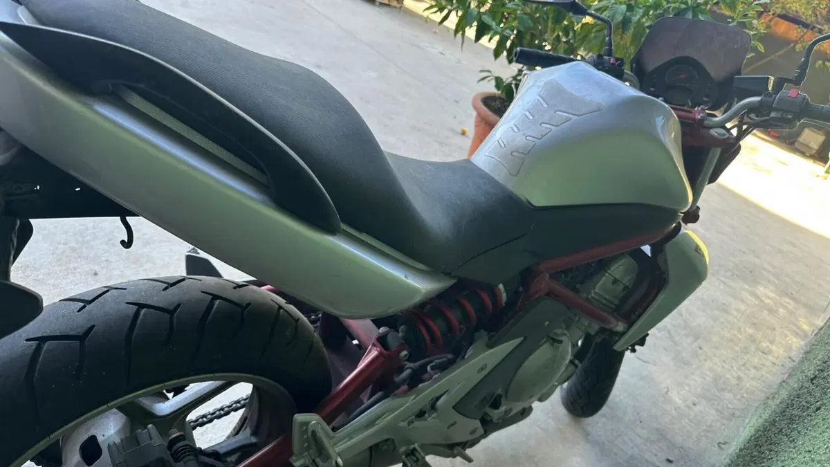 Kawasaki ER-6N (2006 - 09)  (3)
