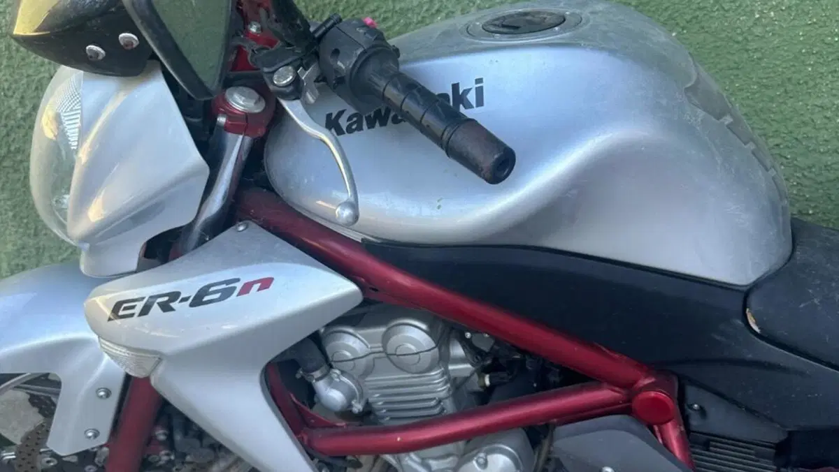 Kawasaki ER-6N (2006 - 09)  (8)