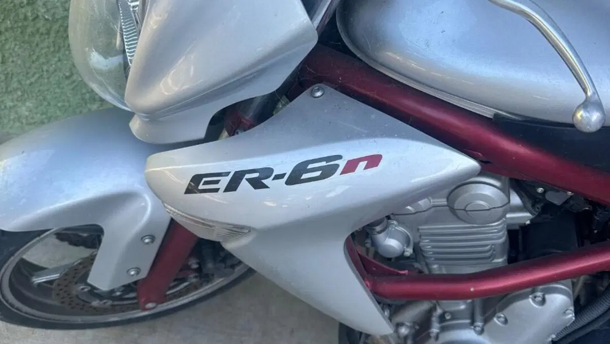 Kawasaki ER-6N (2006 - 09)  (9)