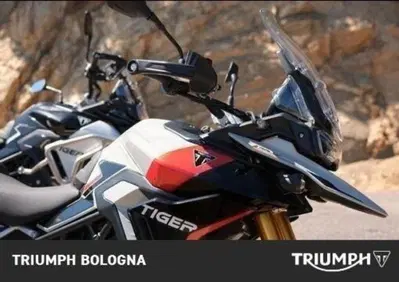 Triumph Tiger 900 Rally Pro (2024 - 26) - Annuncio 9222838