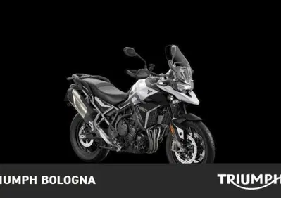 Triumph Tiger 900 GT Pro (2024 - 26) - Annuncio 9659305