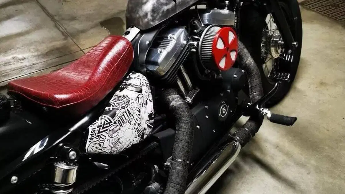 Harley-Davidson 1200 Custom (2007 - 13) - XL 1200C  (2)