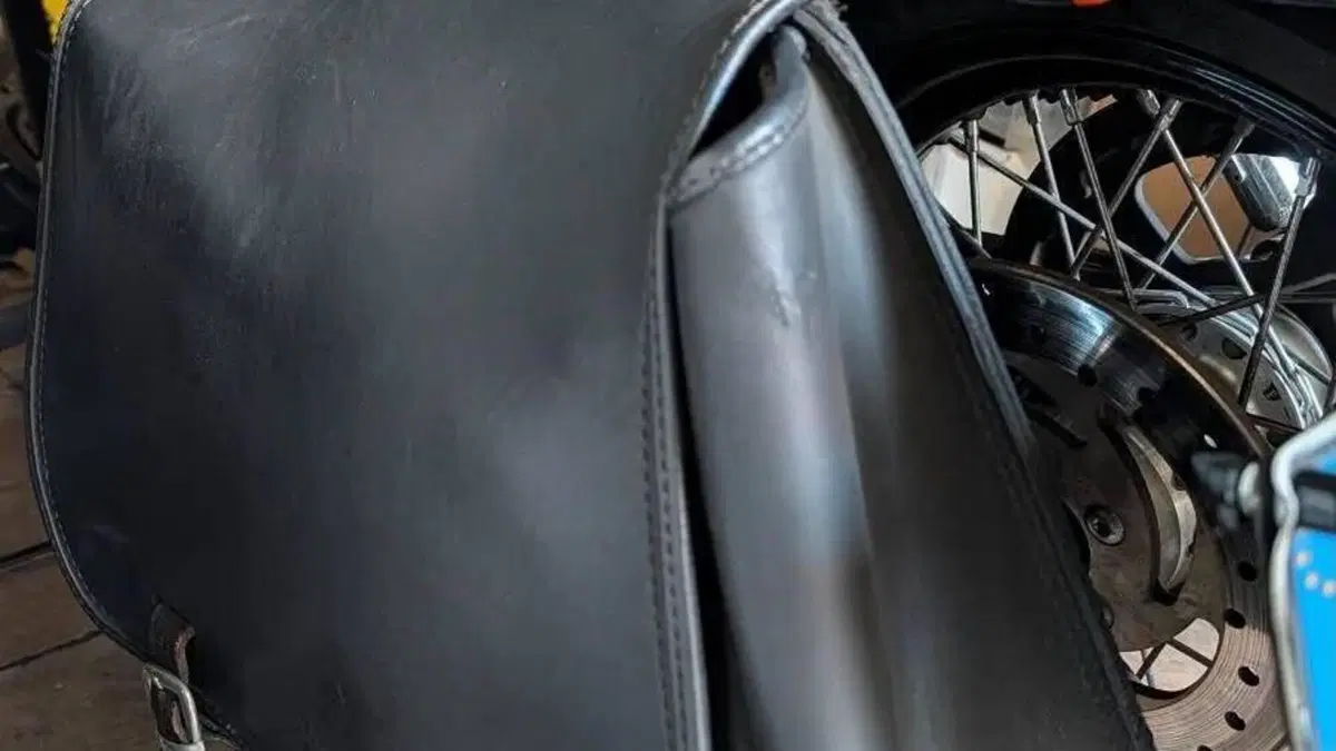 Harley-Davidson 1200 Custom (2007 - 13) - XL 1200C  (4)