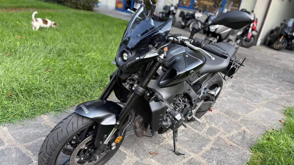 Yamaha MT-09 (2021 - 23)  (2)
