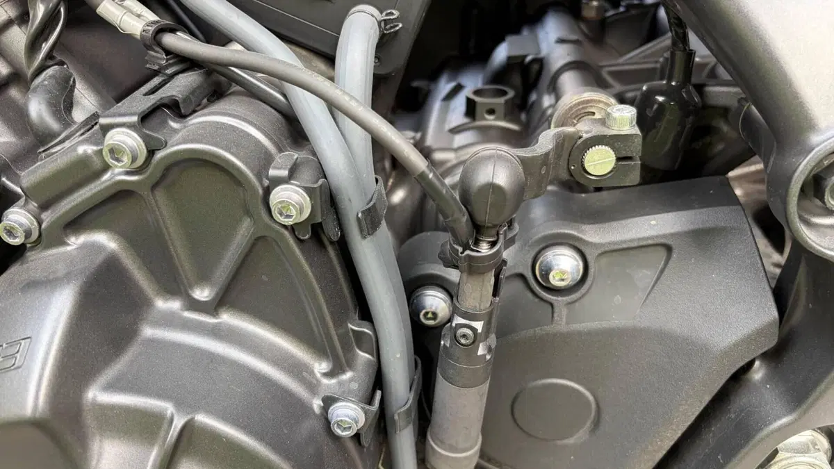 Yamaha MT-09 (2021 - 23)  (6)