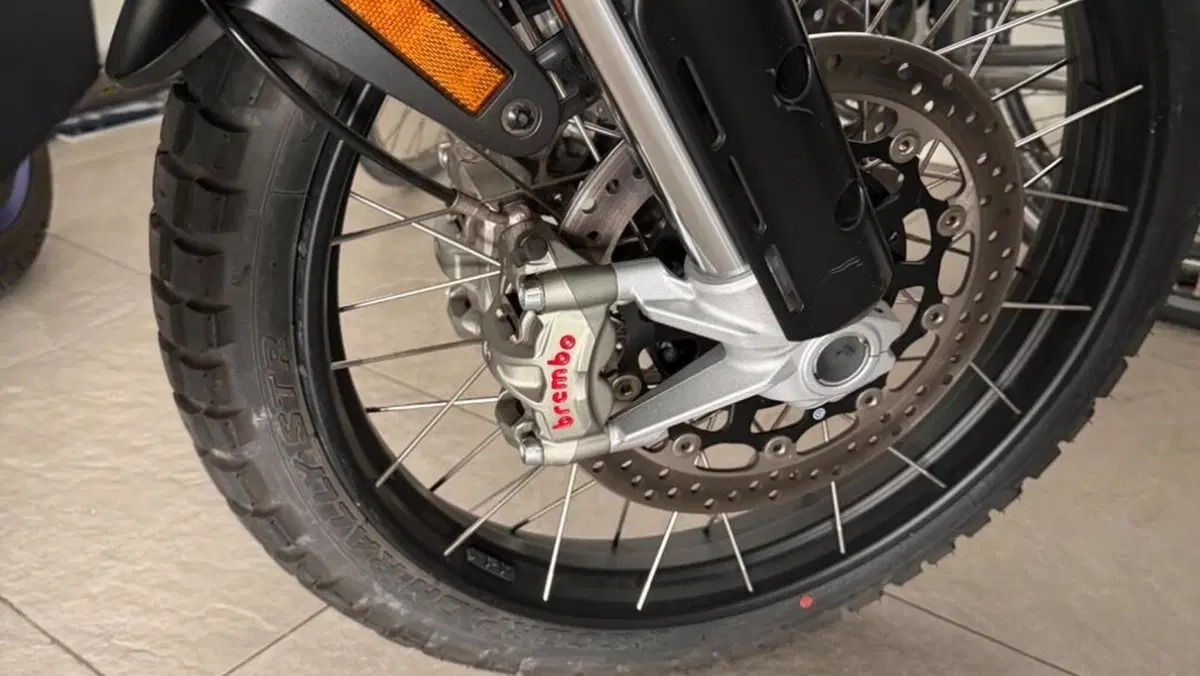 Ducati DesertX (2022 - 25)  (3)