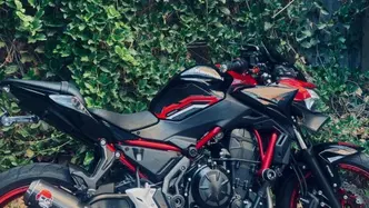 Kawasaki Z 650 (2021 - 24) usata