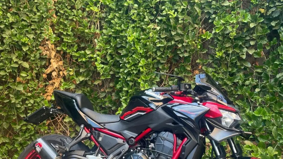 Kawasaki Z 650 (2021 - 24)  (2)