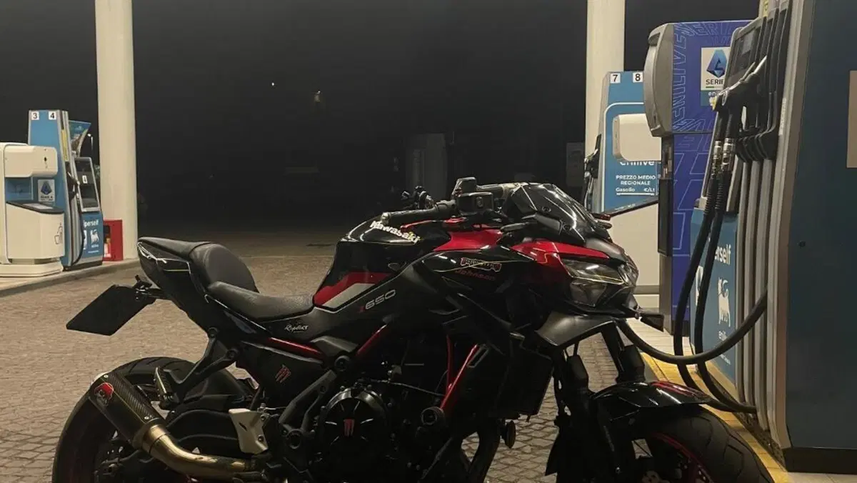 Kawasaki Z 650 (2021 - 24)  (4)
