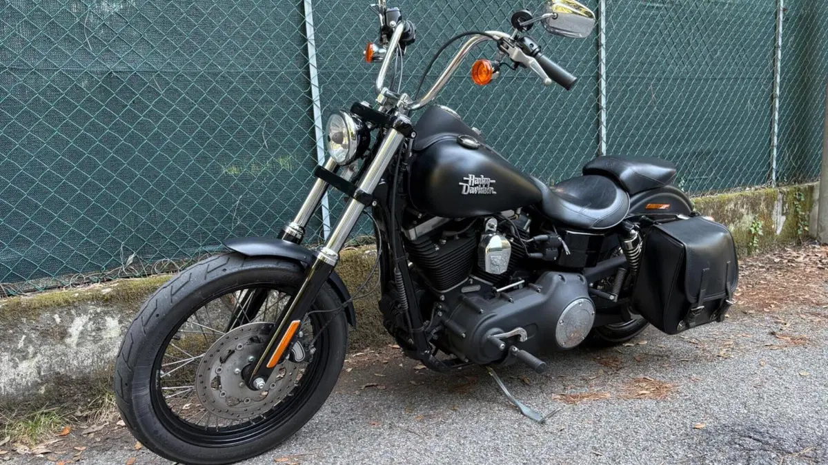 Harley-Davidson 1690 Street Bob Special (2015 - 16) - FXDB  (6)