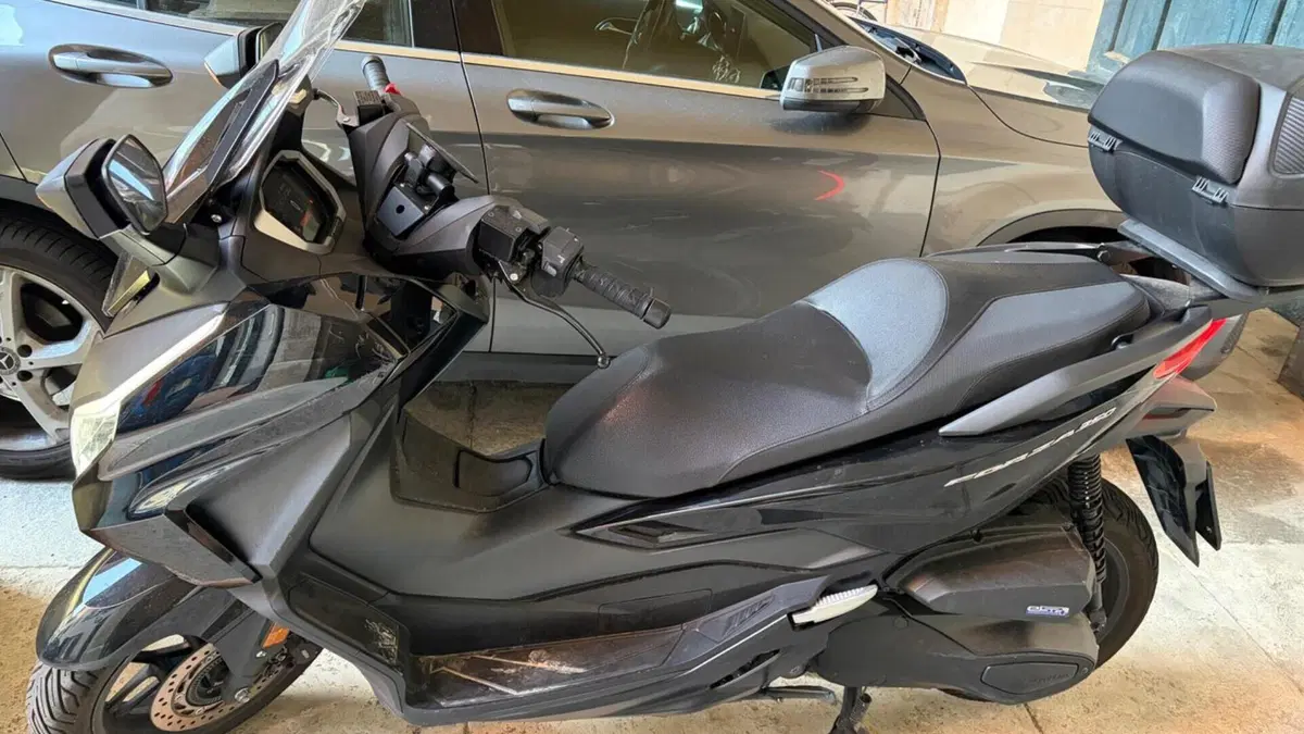Honda Forza 350 (2025 - 26) 