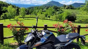 KTM 790 Duke (2018 - 20)  (3)