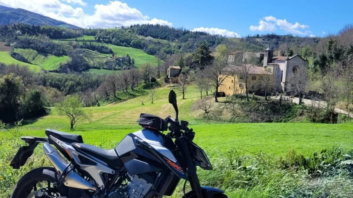 KTM 790 Duke (2018 - 20)  (4)