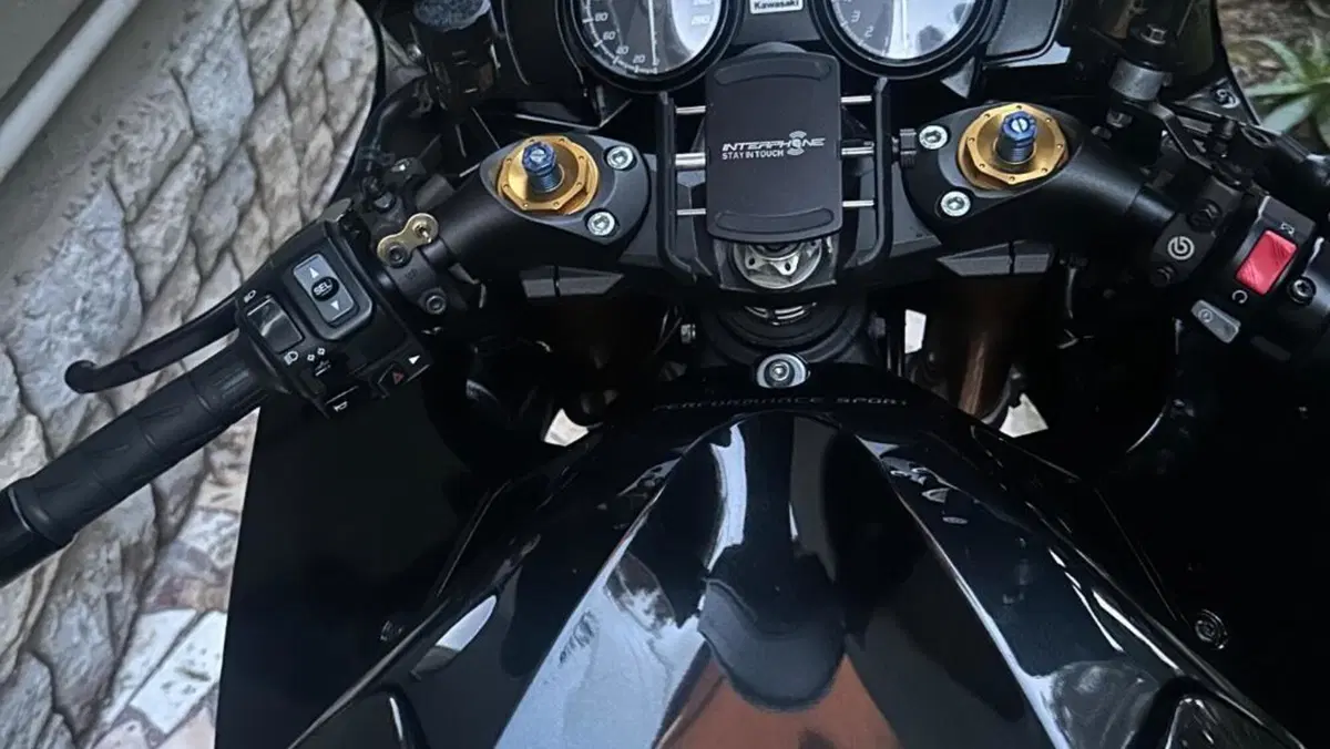 Kawasaki ZZR 1400 ABS S.E. (2013 - 16)  (4)