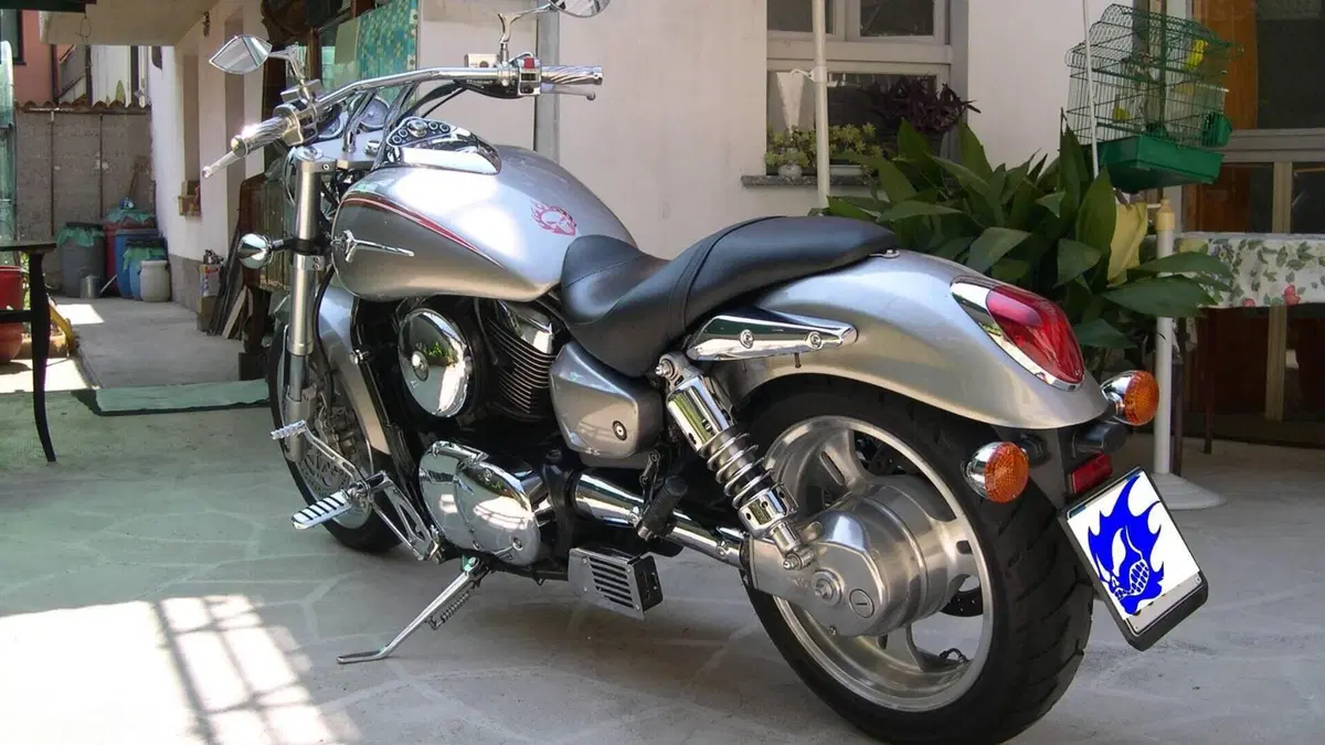 Kawasaki VN 1500 Mean Streak (2002 - 05)  (3)
