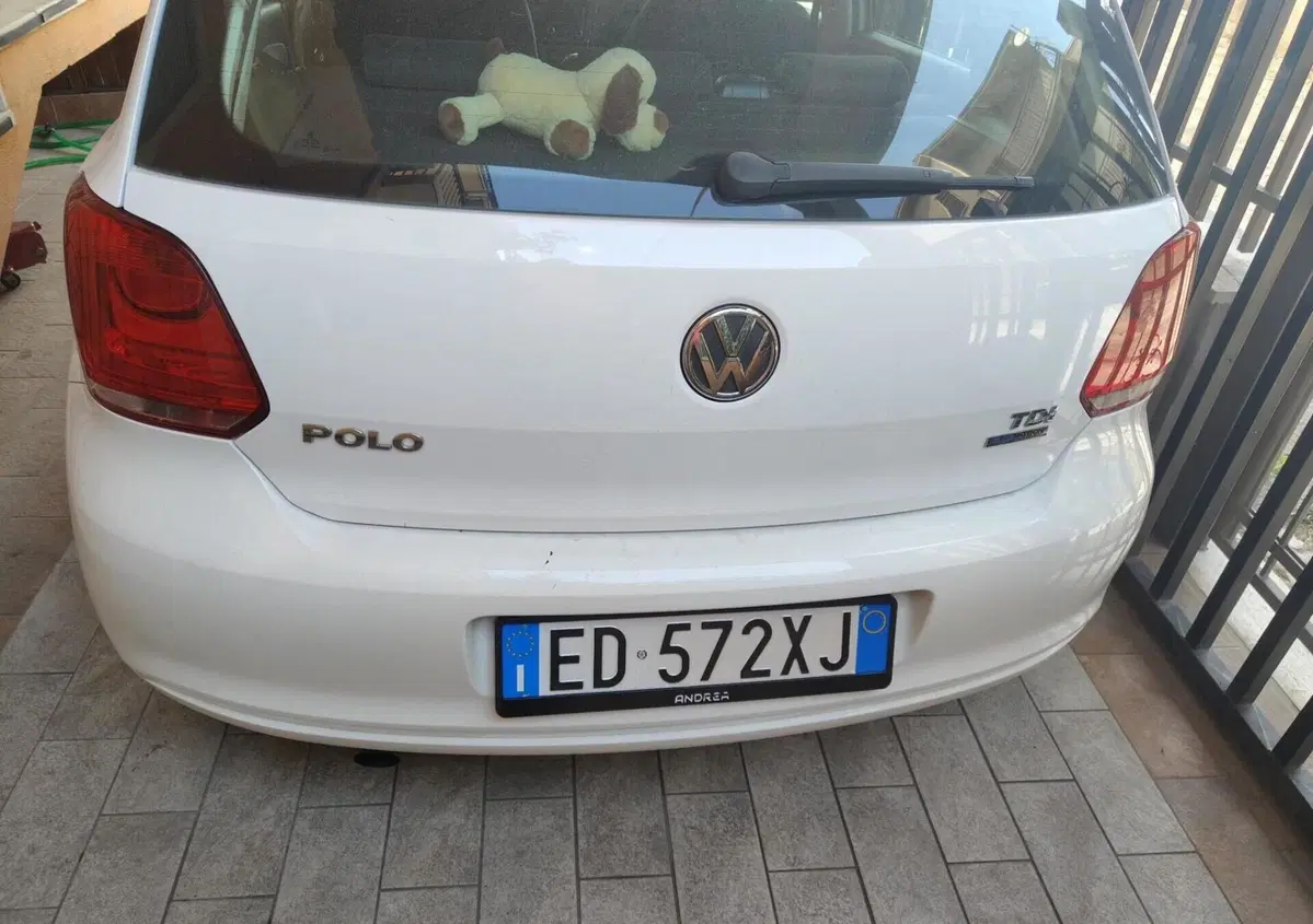 Volkswagen Polo 1.6 TDI DPF 5 porte Comf. BlueMotion Technology (4)