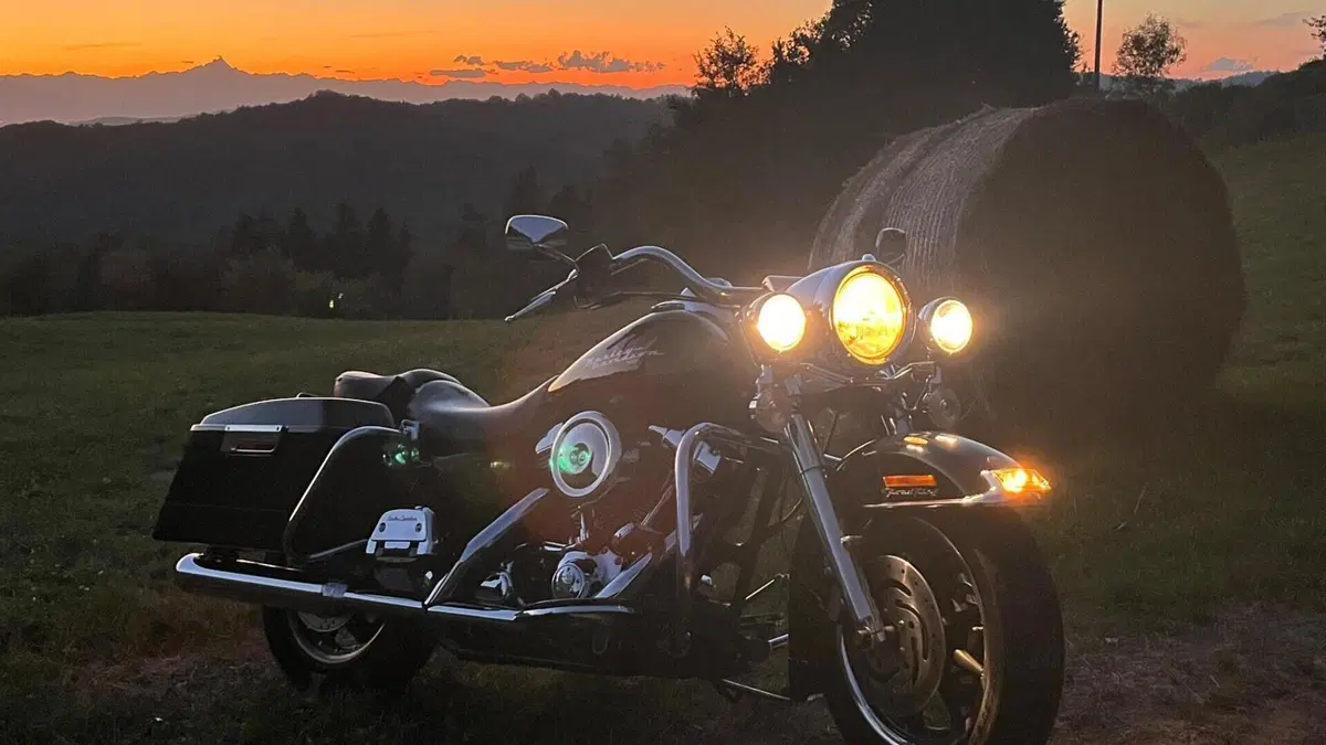 Harley-Davidson 1450 Road King (1999 - 03) - FLHR 