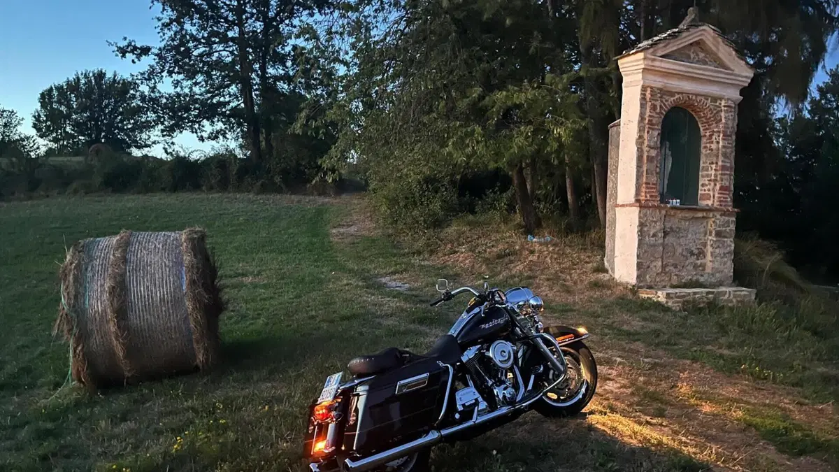 Harley-Davidson 1450 Road King (1999 - 03) - FLHR  (3)
