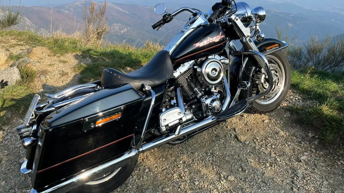Harley-Davidson 1450 Road King (1999 - 03) - FLHR  (7)