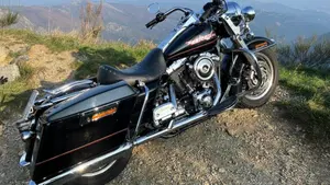 Harley-Davidson 1450 Road King (1999 - 03) - FLHR  (7)