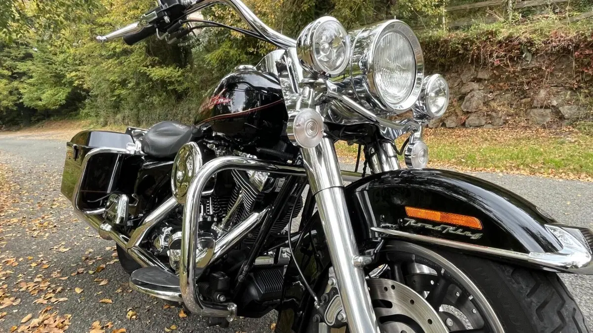 Harley-Davidson 1450 Road King (1999 - 03) - FLHR  (8)