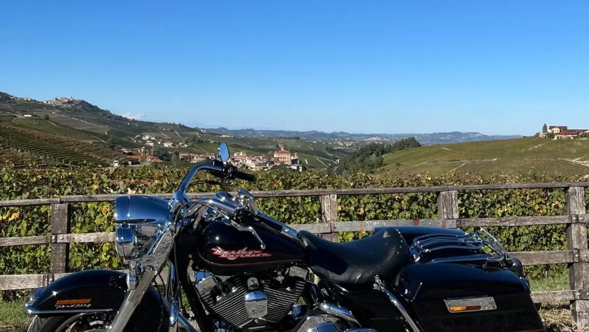 Harley-Davidson 1450 Road King (1999 - 03) - FLHR  (11)