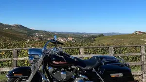 Harley-Davidson 1450 Road King (1999 - 03) - FLHR  (11)