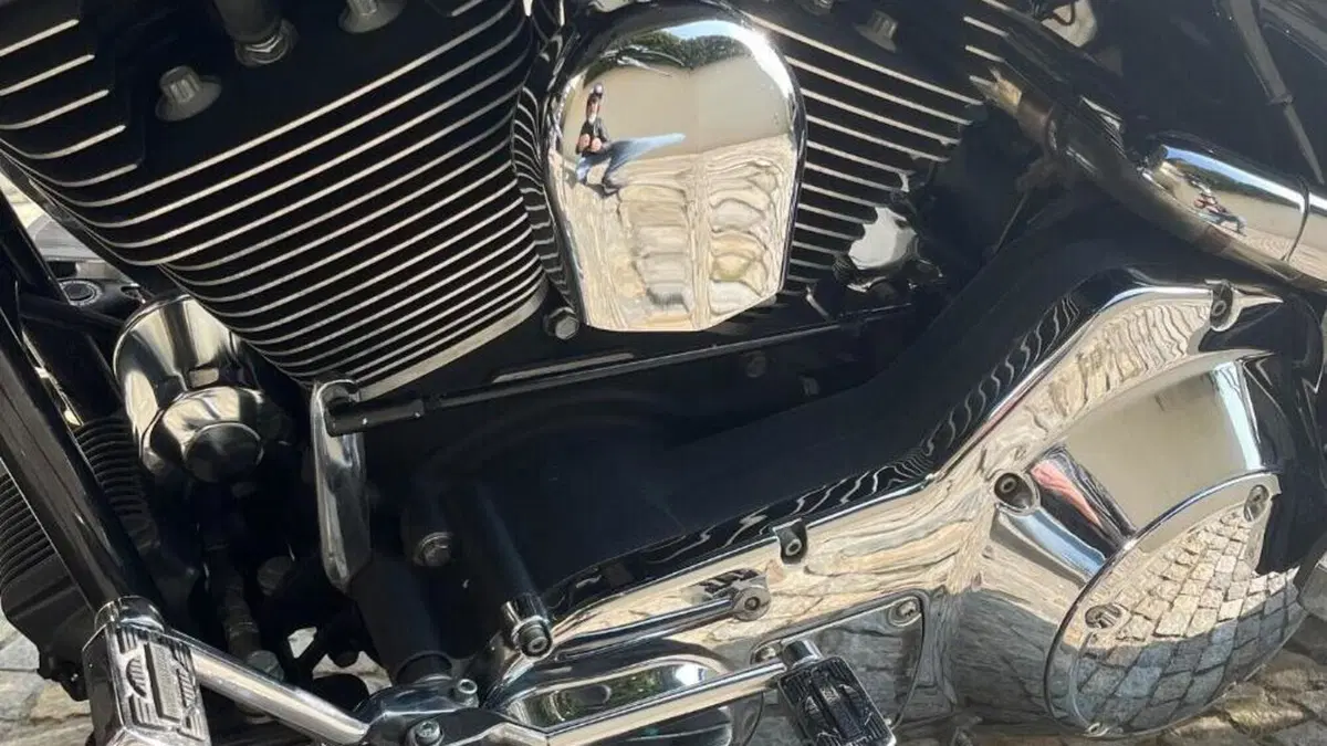 Harley-Davidson 1450 Road King (1999 - 03) - FLHR  (12)