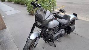 Harley-Davidson Low Rider S (2022 - 24)  (3)