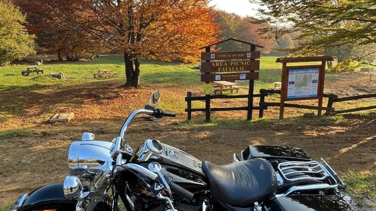 Harley-Davidson   (4)