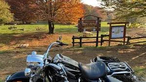 Harley-Davidson   (4)