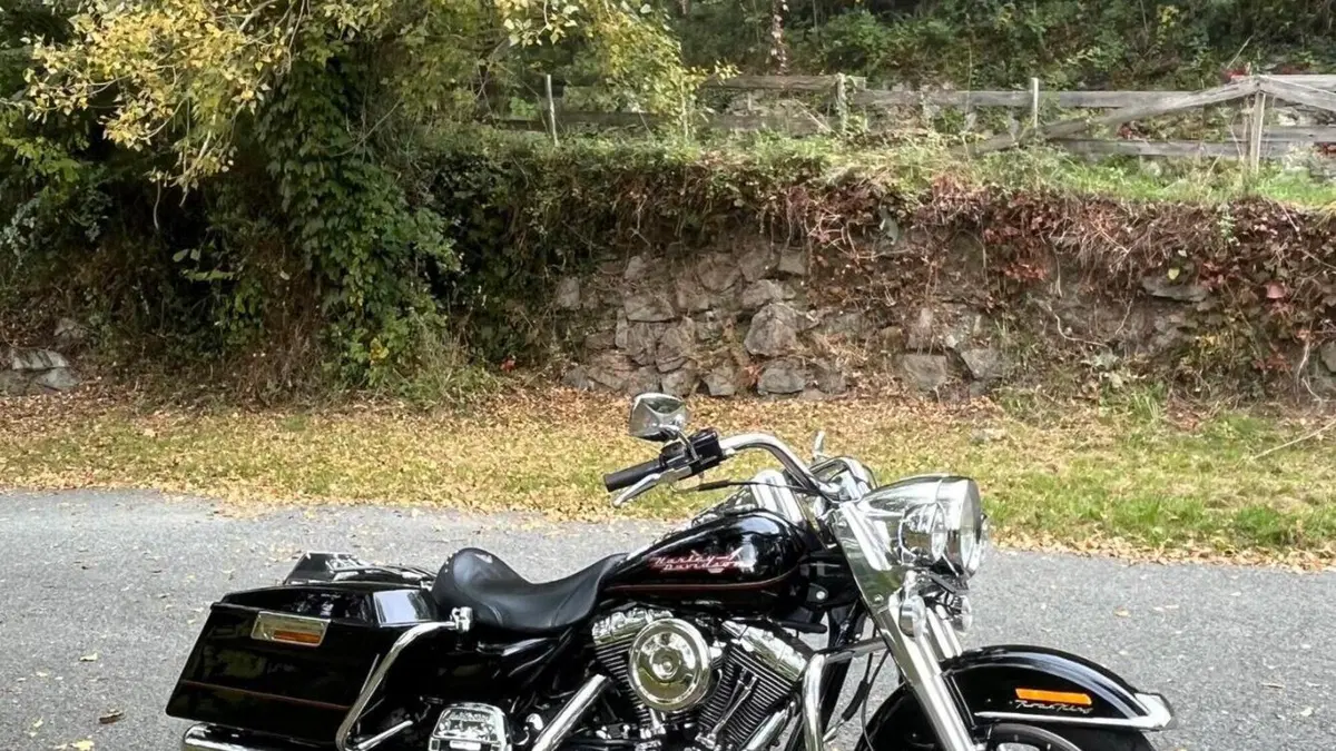 Harley-Davidson   (7)