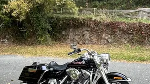 Harley-Davidson   (7)