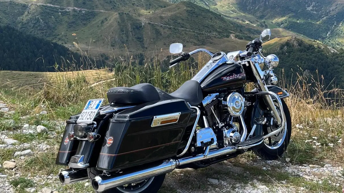 Harley-Davidson   (8)