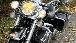 Harley-Davidson   (9)