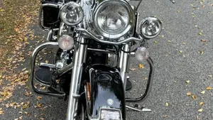 Harley-Davidson   (10)