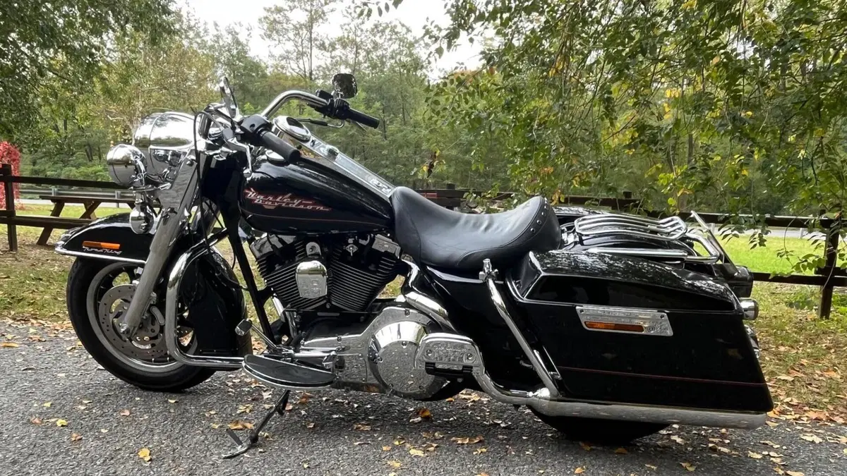 Harley-Davidson   (11)