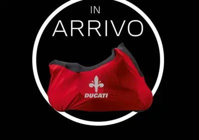 Ducati Scrambler 800 Icon (2025 - 26) - Annuncio 10110369