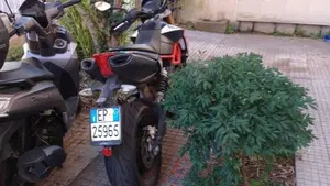 Aprilia Dorsoduro 900 (2017 - 20)  (2)