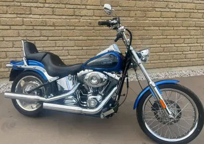 Harley-Davidson 1584 Custom (2008 - 09) - FXSTC - Annuncio 10110372