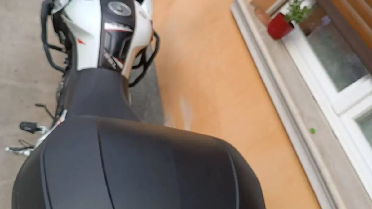Benelli TRK 251 (2019 - 20)  (3)