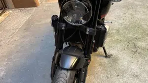 Triumph Trident 660 (2021 - 24)  (3)