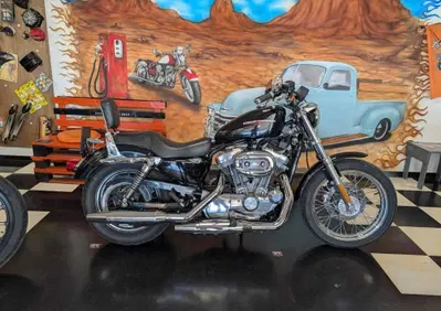 Harley-Davidson 883 (2006 - 07) - XL - Annuncio 10110446