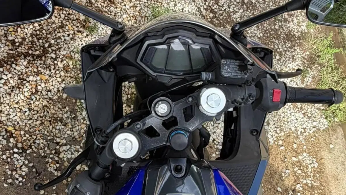 Yamaha YZF R125 (2014 - 16)  (2)