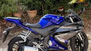 Yamaha YZF R125 (2014 - 16)  (5)