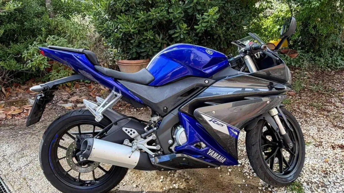 Yamaha YZF R125 (2014 - 16)  (7)