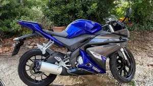 Yamaha YZF R125 (2014 - 16)  (7)